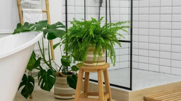 Jasa Interior Desain Bergaransi Sambikerep Surabaya